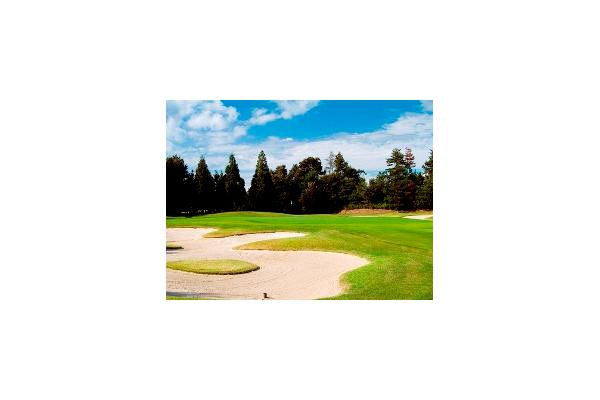 東急グランドオークゴルフクラブ 兵庫県 の予約 料金 じゃらんゴルフ公式ページ