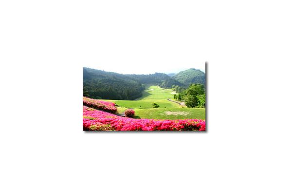 さいたま梨花カントリークラブ 埼玉県 の予約 料金 じゃらんゴルフ公式ページ